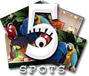 5spots