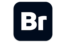 Bridge 2026 16.0.1.18