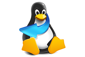 East Imperial Magic Linux Recovery 2.5