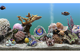 SereneScreen Marine Aquarium 3.3.6381