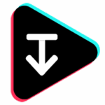 TicToz TikTok Video Downloader 10.9.3