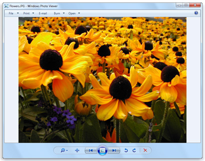 Windows Photo Viewer