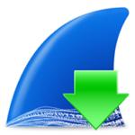 Wireshark 4.4.3