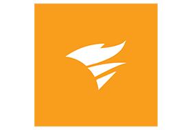 DameWare Remote Support 12.3.1.20