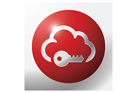Password Manager SafeInCloud 1 24.3.3 [Patched] [Mod Extra] (Android)