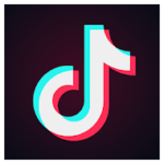 TikTok Downloader 3.3.5