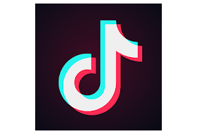 TikTok 30.8.4 [Mod] + [Plugin v1.7] (Android)